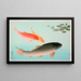 Carpa común y dorada - Ohara Koson — cuadro enmarcado en la pared