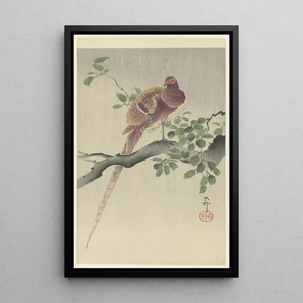 Faisán cuivré - Ohara Koson — cuadro enmarcado en la pared