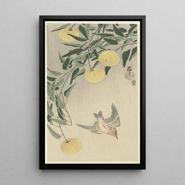 Coucou bajo la lluvia - Ohara Koson — cuadro enmarcado en la pared