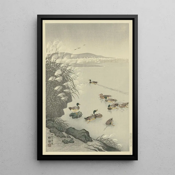 Patos en el agua - Ohara Koson — cuadro enmarcado en la pared