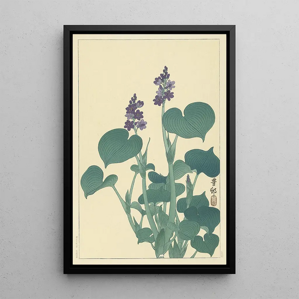 Hosta en flor - Ohara Koson — cuadro enmarcado en la pared