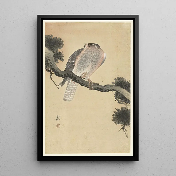 Faucon sur branche de pino - Ohara Koson — cuadro enmarcado en la pared