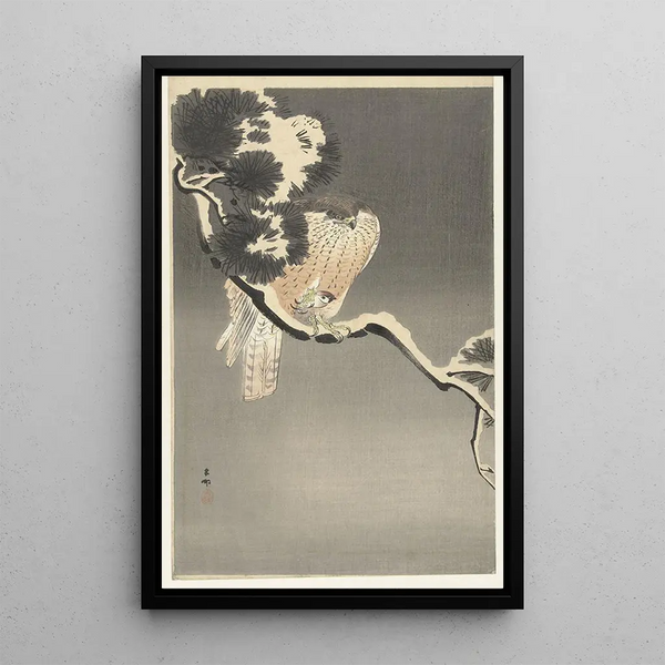 Faucon con gorrión - Ohara Koson — cuadro enmarcado en la pared