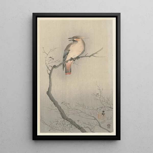 Jaseur du Japon sur branche - Ohara Koson — cuadro enmarcado en la pared