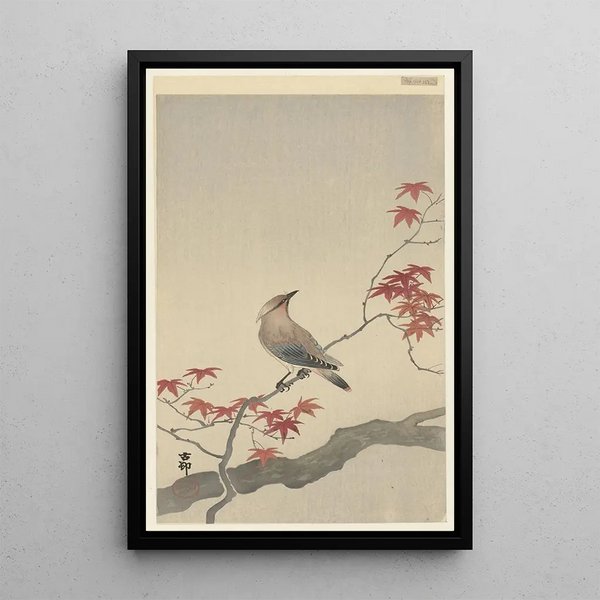 Jaseur du Japon sur érable - Ohara Koson — cuadro enmarcado en la pared