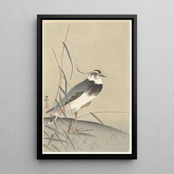 Vanneau y caña - Ohara Koson — cuadro enmarcado en la pared