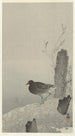 Golondrina - Ohara Koson — vista de la obra