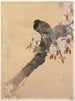 Faisán sobre una rama de cerezo en flor - Ohara Koson — vista de la obra
