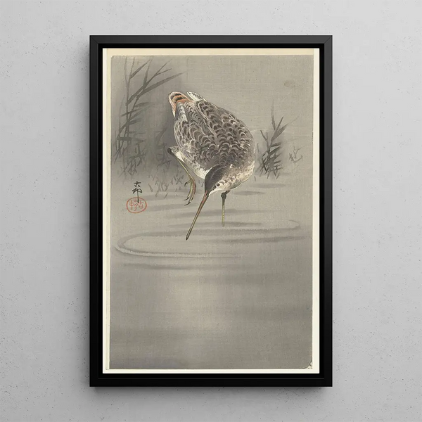 Bécassine dans l'eau - Ohara Koson — cuadro enmarcado en la pared