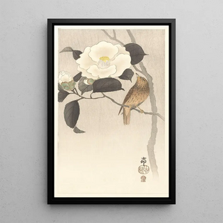 Ohara Koson - Songbird and flowering camellia.webp