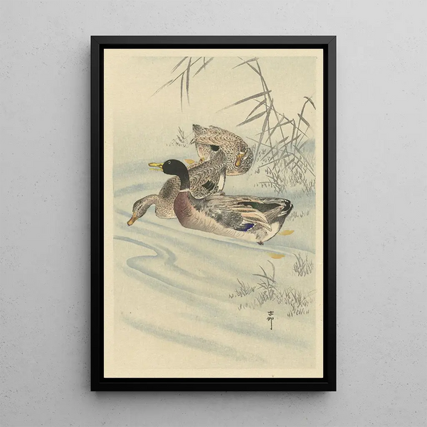 Tres patos en aguas poco profundas con caña - Ohara Koson — cuadro enmarcado en la pared