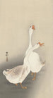 Dos ocas - Ohara Koson — vista de la obra
