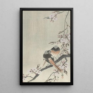 Ohara Koson - Two siegeled redtails with cherry blossom.webp