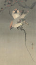 Jaseurs - Ohara Koson — vista de la obra