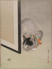 Chat observant une araignée - Oide Tōkō — vista de la obra