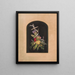 Ancre y flores n°1 - Olive E. Whitney — cuadro enmarcado en la pared