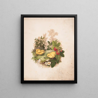 Olive E Whitney - Chickens and strawberries.webp