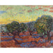 Reproducción del cuadro Oliveraie, Saint-Rémy - Vincent van Gogh
