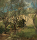 Olivos cerca de Génova - Gustav Schnäleber — vista de la obra