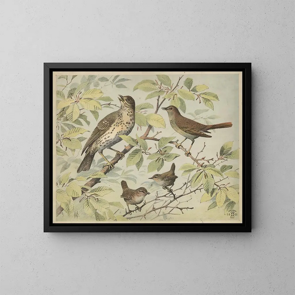 Thrush singing and wren - Oluf August Hermansen — framed artwork on a wall