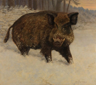 Otto Fikentscher - Keiler im Schnee.webp
