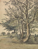 Una parte de Regent's Park - Patrick Nasmyth — vista de la obra