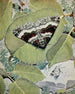 La Cidarie Moirée - Paul-André Robert — artwork view