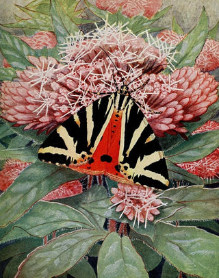 PaulAndre Robert - Lcaille Chine.webp
