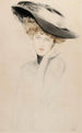 Retrato de mujer con sombrero - Paul César Helleu — vista de la obra