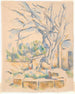 Pistachier au Château Noir - Paul Cézanne — artwork view