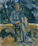 Retrato de campesino - Paul Cézanne — vista de la obra
