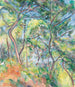 Bosque - Paul Cézanne — vista de la obra