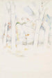 Bosque bajo los árboles - Paul Cézanne — vista de la obra