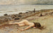 La Question - Paul Fischer — vista de la obra