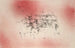Bird Landscape Painting - Paul Klee — artwork view
