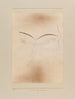 Small Ghost Animal Painting - Paul Klee — artwork view