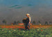 Girl with Basket and Bottle in a Poppy Field - Paul Wilhelm Keller-Reutlingen — artwork view
