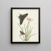 Two butterflies near a lily - Paulus Knogh — framed artwork on a wall