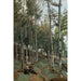 Reproduction of the painting Landscape Painting of Brittany - Jean-Baptiste Camille Corot