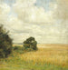 Paisaje con vista a un campo - Carl Holse — vista de la obra