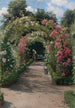 En el jardín - Peder Mønsted — vista de la obra
