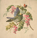 Perroquet vert et acacia - Louis Prang Co — vista de la obra