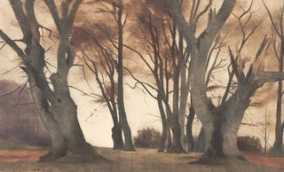 Peter Ilsted - Bgetrer i Ermelunden.webp