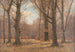 Fin de l'automne dans la forêt de hêtres - Peter Paul Müller — artwork view