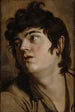 Cabeza de un joven - Peter Paul Rubens — vista de la obra