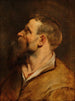 Cabeza de hombre barbudo - Peter Paul Rubens — vista de la obra