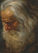 Estudio de cabeza de un anciano barbudo - Peter Paul Rubens — vista de la obra