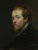 El pintor Pierre Paul Rubens - Peter Paul Rubens — vista de la obra