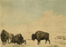 Caza de bisontes - Peter Rindisbacher — vista de la obra