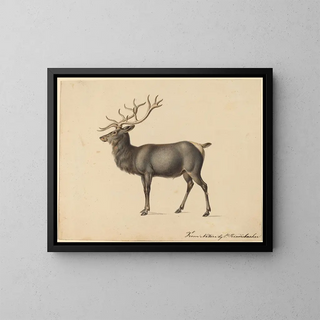 Peter Rindisbacher - European Elk.webp